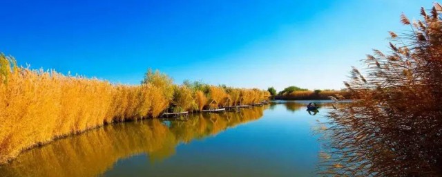 秋天適合去什麼地方旅遊 秋天旅遊地方推薦