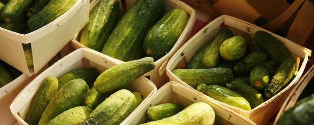黃瓜米蟲的防治方法 黃瓜米蟲的防治方法是什麼
