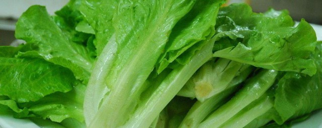 生菜怎麼做不軟 生菜不軟趴脆爽可口的做法介紹