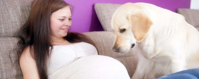 孕婦吃什麼可以去濕氣 孕婦去濕氣的飲食推薦