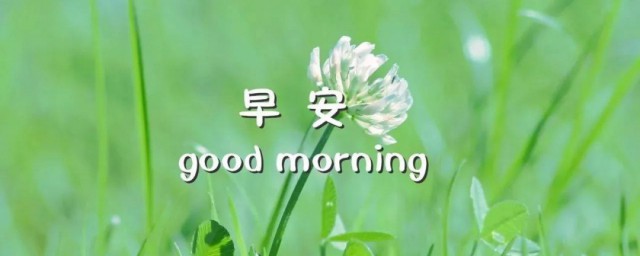 早安最美一句話 早安最美一句話集錦
