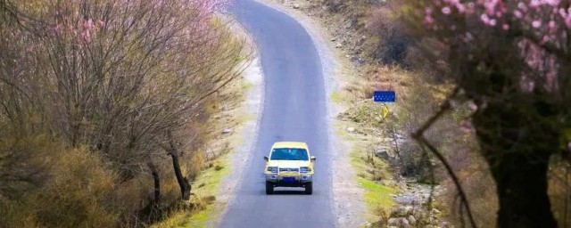 適合春季旅遊的地方 適合春季旅遊的地方有哪些