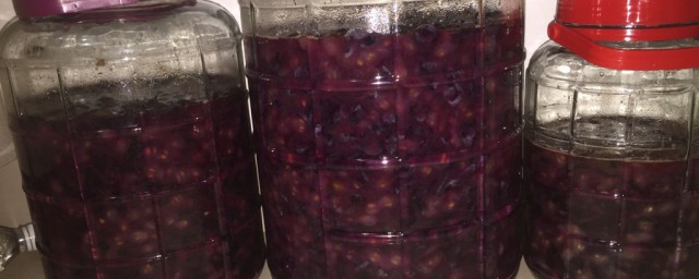 山葡萄酒的制作方法 山葡萄酒的簡單制作方法