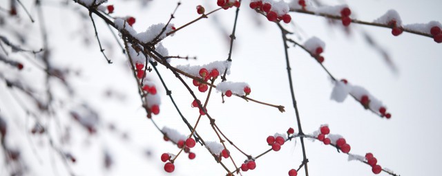 雪景發朋友圈的精美句子 下雪天唯美意境句子