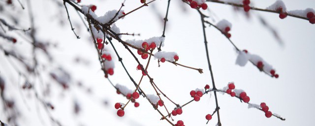 2020年表達小雪快樂的祝福語 怎麼祝福小雪快樂