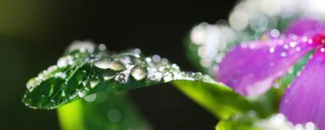 白露涼快瞭嗎 白露天氣怎麼樣