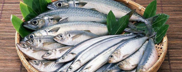 尿酸高不能吃什麼魚 尿酸高有什麼不能吃的魚
