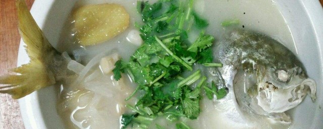 清淡燉魚怎麼做 清淡燉魚的做法