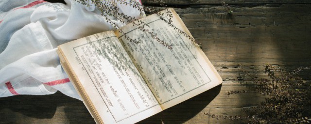 唐三前世是鬥羅大陸裡的嗎 唐三名字中不為人知的秘密為何前世今生名字都一樣