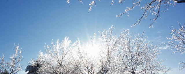 雪的古詩 雪的古詩有哪些