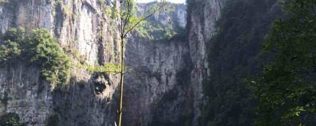 重慶仙女山景點介紹 具體介紹是什麼