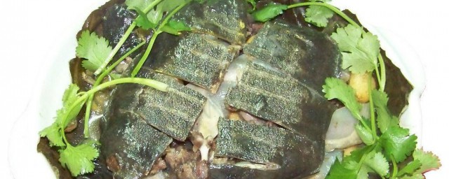 清蒸甲魚的做法 怎麼做清蒸甲魚