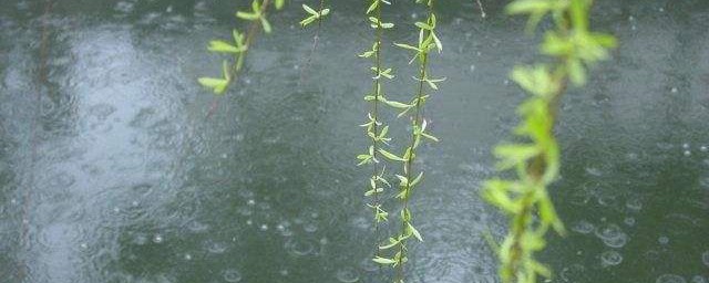 細雨綿綿的唯美句子 細雨綿綿的唯美句子心情說說