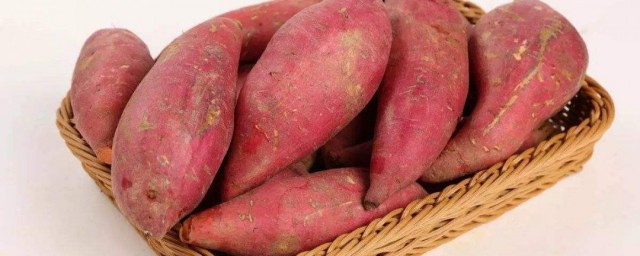 廣東紅薯長期保存方法 保存紅薯的方法