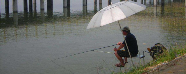 路邊釣魚技巧 釣魚技巧