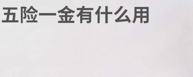 五險一金各有什麼用 五險一金各有什麼用途
