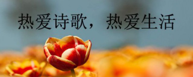 名人名言短句大全摘抄 著名名言大全