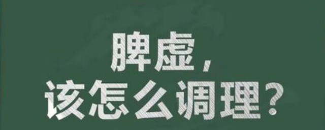 脾虛要怎樣調理 脾虛的調理方法