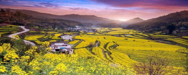 婺源旅遊最佳時間 中國最美的鄉村婺源