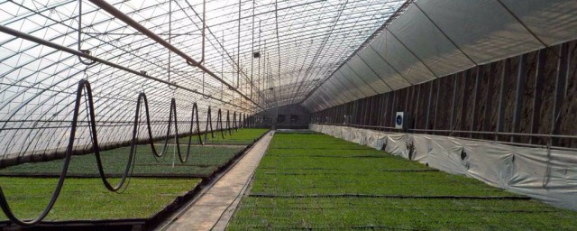 蔬菜大棚建設方法 蔬菜大棚建設方法介紹