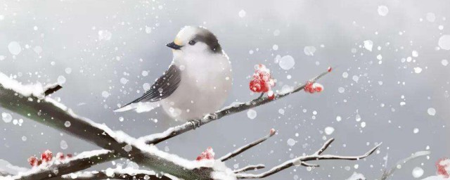 雨雪霏霏的意思 雨雪霏霏出自哪裡
