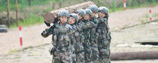 特種兵之火鳳凰大結局 講述瞭什麼故事