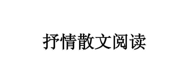 抒情的散文 什麼是散文