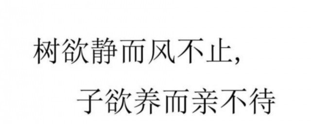 樹欲靜而風不止下句 樹欲靜而風不止原文