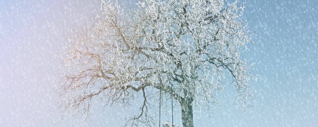 下雪瞭的作文 下雪瞭的作文范文