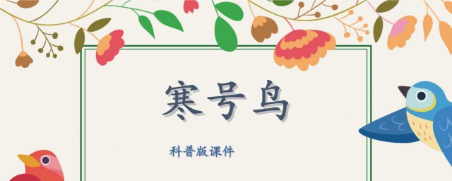寒號鳥是什麼動物 快快來看看吧