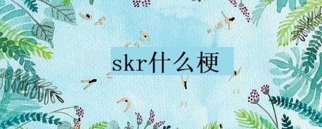 skr什麼梗 科普skr的意思