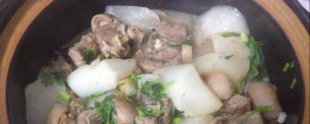 蘿卜燉羊肉做法 蘿卜燉羊肉做法是什麼