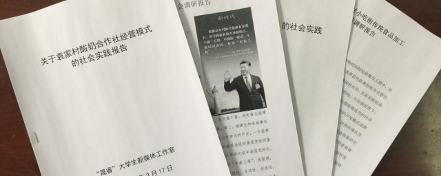 大學生實踐報告范文 這兩篇例文可供參考