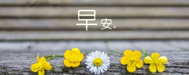 充滿正能量的早安心語 早安心語充滿陽光正能量