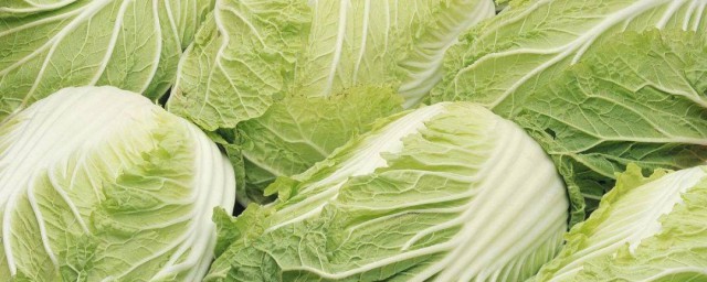 夢見白菜是什麼預兆 不同身份的人夢見白菜預兆解析