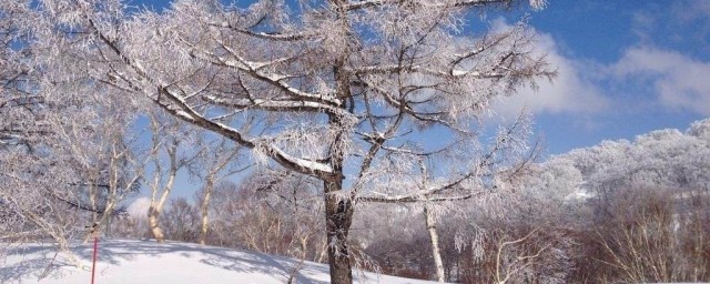 描寫大雪的句子唯美 描寫大雪的唯美精選句子