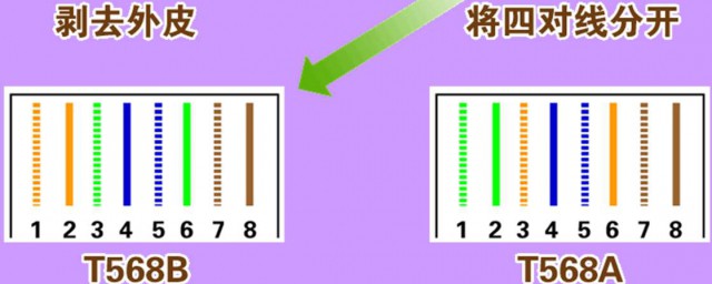 網線的接法介紹 網線水晶頭的接法