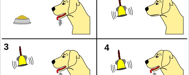 經典條件反射簡介 什麼是條件反射理論
