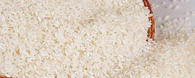 大米已經生瞭蟲子怎麼辦 大米生蟲的5種處理方法