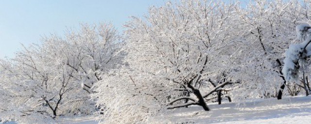 大雪節氣吃什麼 什麼是大雪