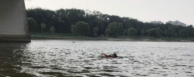 水鬼是什麼動物 水鬼是什麼