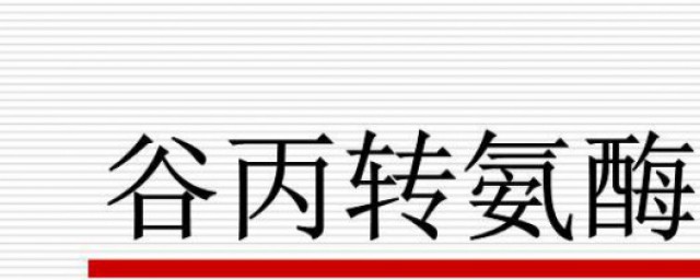 谷丙轉氨酶是什麼 谷丙轉氨酶資料