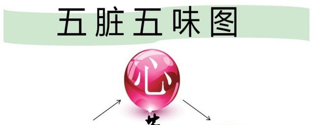 五臟是什麼 五臟是指哪些部位