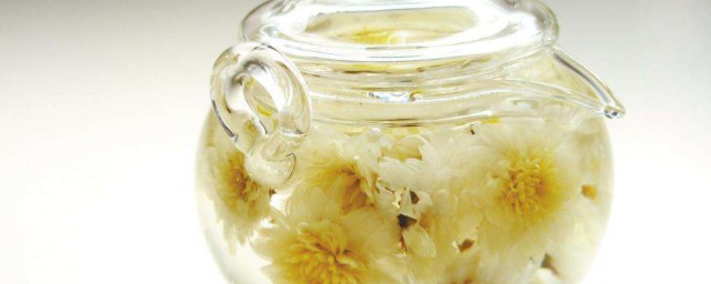 菊花茶解藥嗎 它起源於哪裡