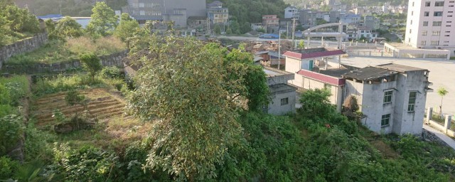 吉首市屬於哪個市 一起來瞭解下吧