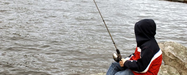 怎樣釣鯉魚上鉤快 記得這三點輕松釣魚