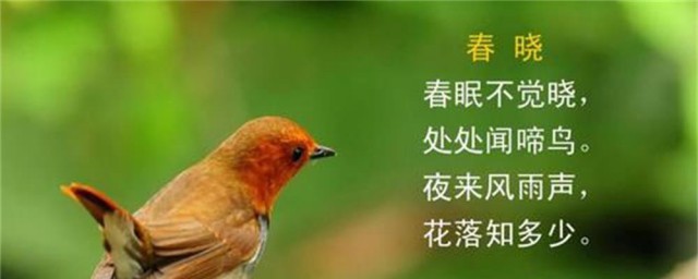 春眠不覺曉的曉是什麼意思 通過全詩解釋及拓展資料