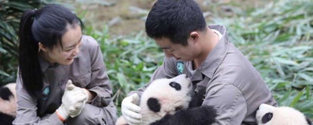 動物園飼養員介紹 動物園飼養員工作介紹