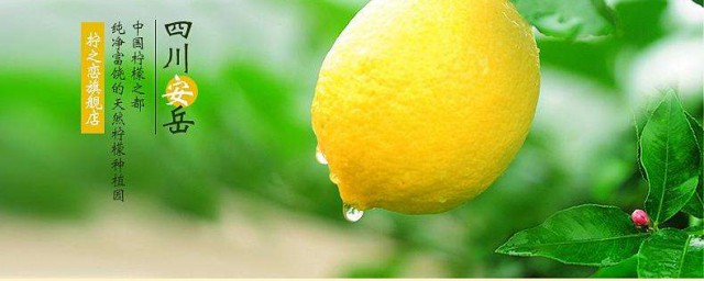 檸檬的作用與功效 檸檬對人體的好處