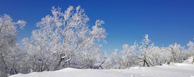 北國風光千裡冰封萬裡雪飄全文及翻譯 這是誰寫的